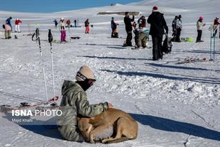 Iran winter2022